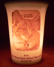 pet memorial candle for Eve